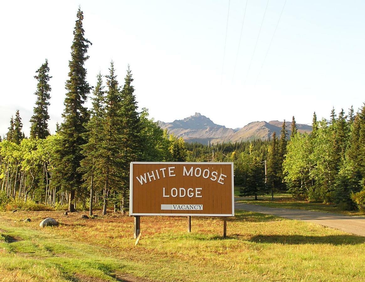 White Moose Lodge 希利 外观 照片